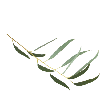 object 1